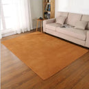 Axyaa Coral Fleece Soft Area Rug for Living Room, Bedroom, or Yoga Mat
