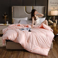 Axyaa Soybean Quilt: 4 Season Warmth, Single/Double, Thickened, Spring/Autumn/Winter