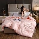 Axyaa Soybean Quilt: 4 Season Warmth, Single/Double, Thickened, Spring/Autumn/Winter