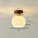 Axyaa Copper Glass LED Ceiling Lamp - Modern Indoor Lighting Fixtures