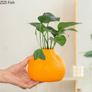 Axyaa Orange Ceramic Vase Set for Stylish Floral Arrangements and Room Decor