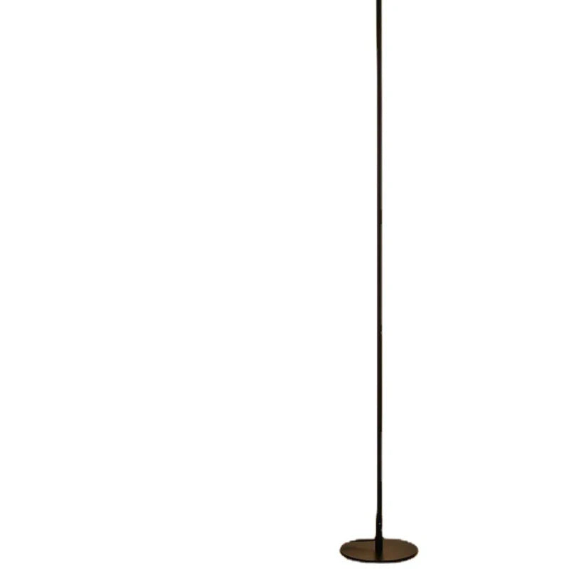 Axyaa Aluminum Iron Paint 15W LED Floor Lamp for Home Decor