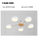Axyaa Black LED Ceiling Lamp: Creative Pendant Chandelier for Home Decor