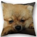 Axyaa Pomeranian Dog Pillowcase Cotton Linen Square Zipper 45X45cm Wedding Decor Pillow cover