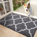 Axyaa Super Absorbent Microfiber Large Doormat 61x120 Washable Entrance Rug