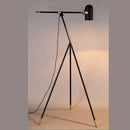 Axyaa Modern Nordic Floor Lamp for Living Rooms and Bedrooms