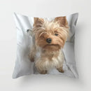 Axyaa Cute Dog Print Pillow Case for Bedroom Sofa Car Decor