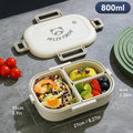 Axyaa 3-Compartment Bento Box 800ml: Microwave Safe Lunch Box for School Kids
