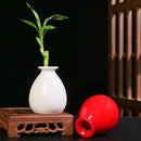 Axyaa Luxury Ceramic Vase Living Room Decor