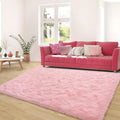 Pink Carpet Modern Living Room Sofa Area Rugs from Axyaa