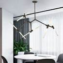 Axyaa Gold Luxury LED Chandelier for Home Decor
