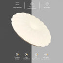 Axyaa LED Shell Ceiling Light for Home Decor & Lighting
