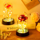 Axyaa Galaxy Rose LED Eternal Flower Lamp Nightlight - Perfect Valentine's Day Wedding Gift