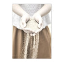 Axyaa Beach Shell Landscape Canvas Art Print for Nordic Living Room Decor