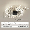 Axyaa Firework Decor LED Ceiling Lights for Living Room Bedroom Kitchen, Nordic Indoor Home Fixture
