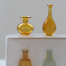 Axyaa Mini Colored Glass Hydroponics Terrarium Vase