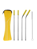 Axyaa Stainless Steel Reusable Straw Set with Cleaning Brush and Cover
