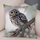 Axyaa Wild Owl Cushion Cover: Decorative Sofa Pillowcase for Home and Children's Room