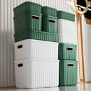 Axyaa Solid Color Storage Box with Cover - Household Organizer for Snacks, Cosmetics, Toys, Clothes
