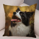Scottish Border Collie Pillowcase - Axyaa Dog Print Decor Cushion Cover