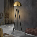 Luxury Postmodern Floor Lamp for Personalized Lighting by Axyaa in Living  Dining  Bedrooms