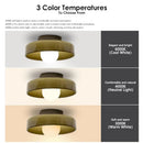 Axyaa Nordic Glass LED Ceiling Lamps Colorful Surface Mounted Lights
