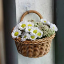 Axyaa Woven Wall Hanging Basket Organizer for Kitchen Tableware and Fruit Storage