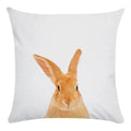 Axyaa Animal Print Cushion Cover Home Decor 45x45CM