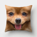 Dog Pattern Cushion Cover for Home Decor by Axyaa