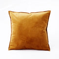 Axyaa Velvet Cushion Cover 40x40 for Sofa Car Home Decor