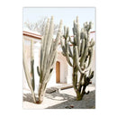 Axyaa Cactus Plants Tree Canvas Poster Nordic Wall Art Print Home Decor