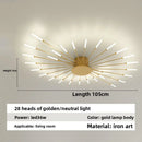 Axyaa Firework Decor LED Ceiling Lights for Living Room Bedroom Kitchen, Nordic Indoor Home Fixture