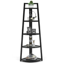 Axyaa 5 Tier Corner Shelf Bookcase | Modern Industrial Ladder Plant Stand