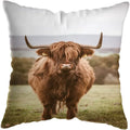 Axyaa Nordic Yak Oxen Highland Cow Cushion Cover for Home Hotel Sofa Bed