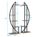 Axyaa 5-Tier Plant Stand Set, Curved Multi-Purpose Display Shelf for Indoor Garden