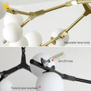 Axyaa Black Gold Glass Ball LED Chandelier for Living & Dining Room