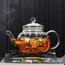 Axyaa Glass Teapot with Tea Strainer, Heat Resistant Kettle for Chinese Kung Fu Tea