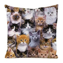 Colorful Cute Cats Pillow Case Set by Axyaa - Home Decor 40x40 45x45