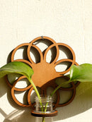 Axyaa Wall Planters Indoor Plant Hanging Propagation Station Wooden Stand Plastic Test Tubes