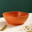 Axyaa Wheat Straw Fruit Bowl Soup Salad Rice Microwavable Safe Tableware