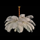 Axyaa Nordic Feather LED Pendant Lamp - Elegant Home Decor Lighting