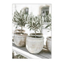 Axyaa Olive Tree Architecture Canvas Print Wall Art Posters for Living Room