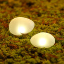 Axya Solar Glow Stone Lamp for Outdoor Garden Decoration