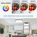 Axyaa Square LED Ceiling Light Fixture for Modern Living Room Chandelier