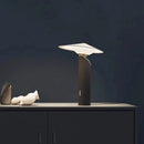 Axyaa Metal Desk Lamp for Bedroom