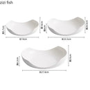 Axyaa Ceramic Irregular Plate Set - Restaurant Tableware for Molecular Cuisine