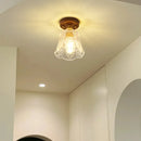 Axyaa Modern Glass LED Ceiling Lamp Copper Walnut for Home Decor