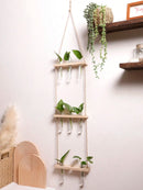 Axyaa Air Plants Wall Hanging Floating Shelf Boho Art Home Decor