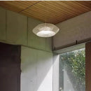 Axyaa Nordic Lamp & Dining Table Chandeliers LED Pendant Light for Home Decor