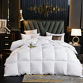 Axyaa Winter Goose Down Duvet Comforter for Single/Double Bed